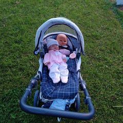buggy toy