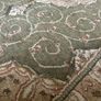 rug Image 2