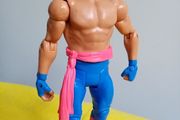WWE Wrestlers Wrestler action Figure