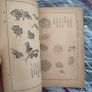 Vintage 1948 Chinese Book: Mustard Seed Garden Painting Manual Image 5