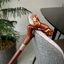 Unique Handmade Walking Stick, Fox Handle, Never Used Image 7