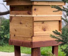 National Cedar Beehive