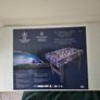 3ft Football table Image 2