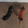 Two toy dog figures Image 3