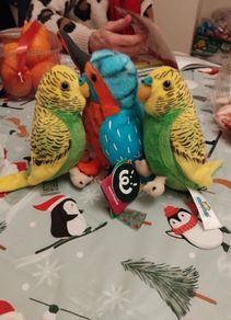 Bird Teddy's x 3, 2 budgies and a kingfisher