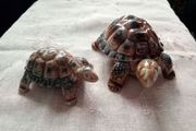 Vintage collectible WADE "The Tortoise Family" Papa Ashtray and Baby Tortoise
