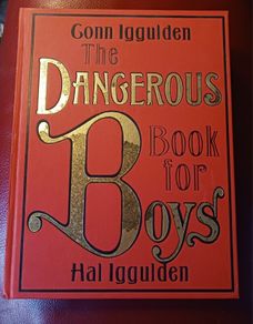 The Dangerous Book for Boys/ 8 - 80/ 2006