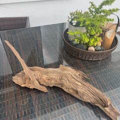 aquarium wood