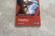 Bridge the Gap TY maths