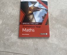Bridge the Gap TY maths