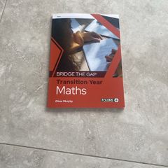 Bridge the Gap TY maths