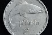 Ireland - 1962 - Florin - Salmon - KM.15a - [509]