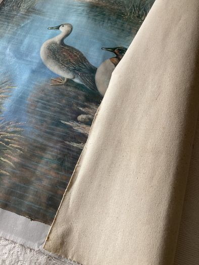 Duck Scene Canvas Painting by Justus