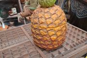 Vintage Pineapple