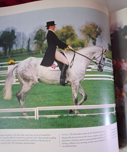 The World of The Irish Horse / 1992