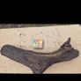 bog oak Image 8