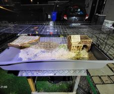 XXL  guinea pig & rabbit cage
