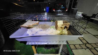XXL  guinea pig & rabbit cage