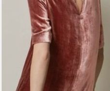 Toast Silk Velvet Shift Dress
