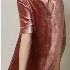 Toast Silk Velvet Shift Dress