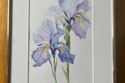 Paint / picture    Irises