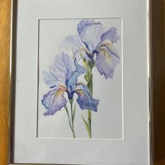 Paint / picture    Irises