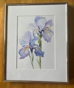 Paint / picture    Irises