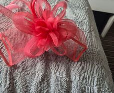 fascinator