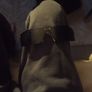 Calvin Klein sunglasses limited edition Image 8