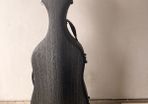 full size carbon fibre cello case