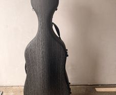 full size carbon fibre cello case