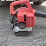 leafblower Image 2
