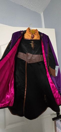 Anna Costume