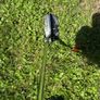 Golf club Image 6