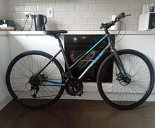 fuji absolute