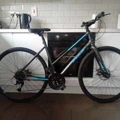 fuji absolute