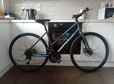 fuji absolute