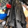 fishing river lake sea rods reels available Image 8