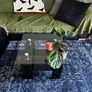 Coffee Table Image 3