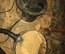 Free sawdust.