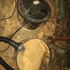 Free sawdust.