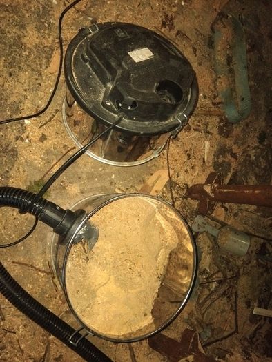 Free sawdust.