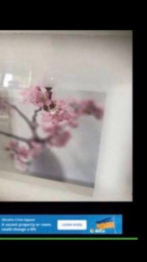 Framed Floral Prints