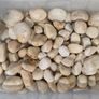 13kg Decorative Plant Pot Topper & Terrarium Stones - 4 Types Image 2