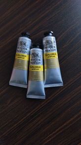 3 Winsor & Newton Galeria Acrylic Paint