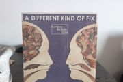 Bombay Bicycle Club - A Different Kind Of Fix (LP, Album)