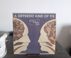 Bombay Bicycle Club - A Different Kind Of Fix (LP, Album)