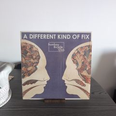 Bombay Bicycle Club - A Different Kind Of Fix (LP, Album)