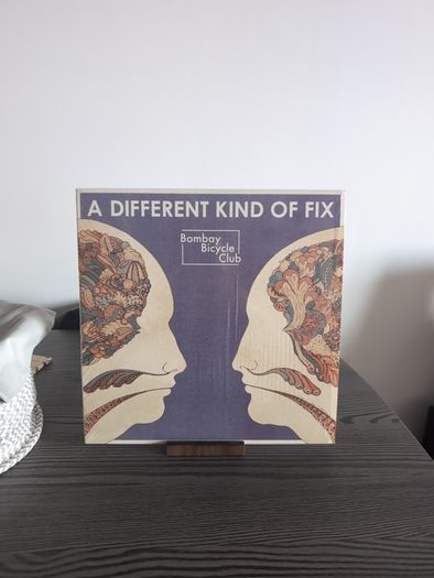 Bombay Bicycle Club - A Different Kind Of Fix (LP, Album)