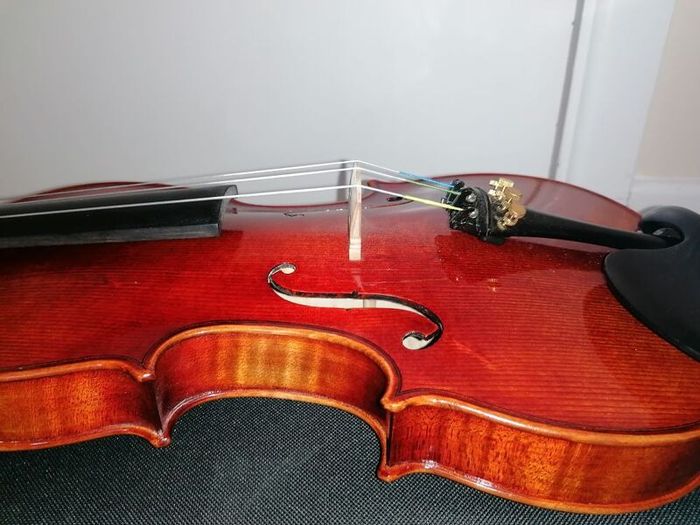 MC Neela Advanced Violin set